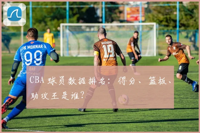 CBA 球员数据排名：得分、篮板、助攻王是谁？
